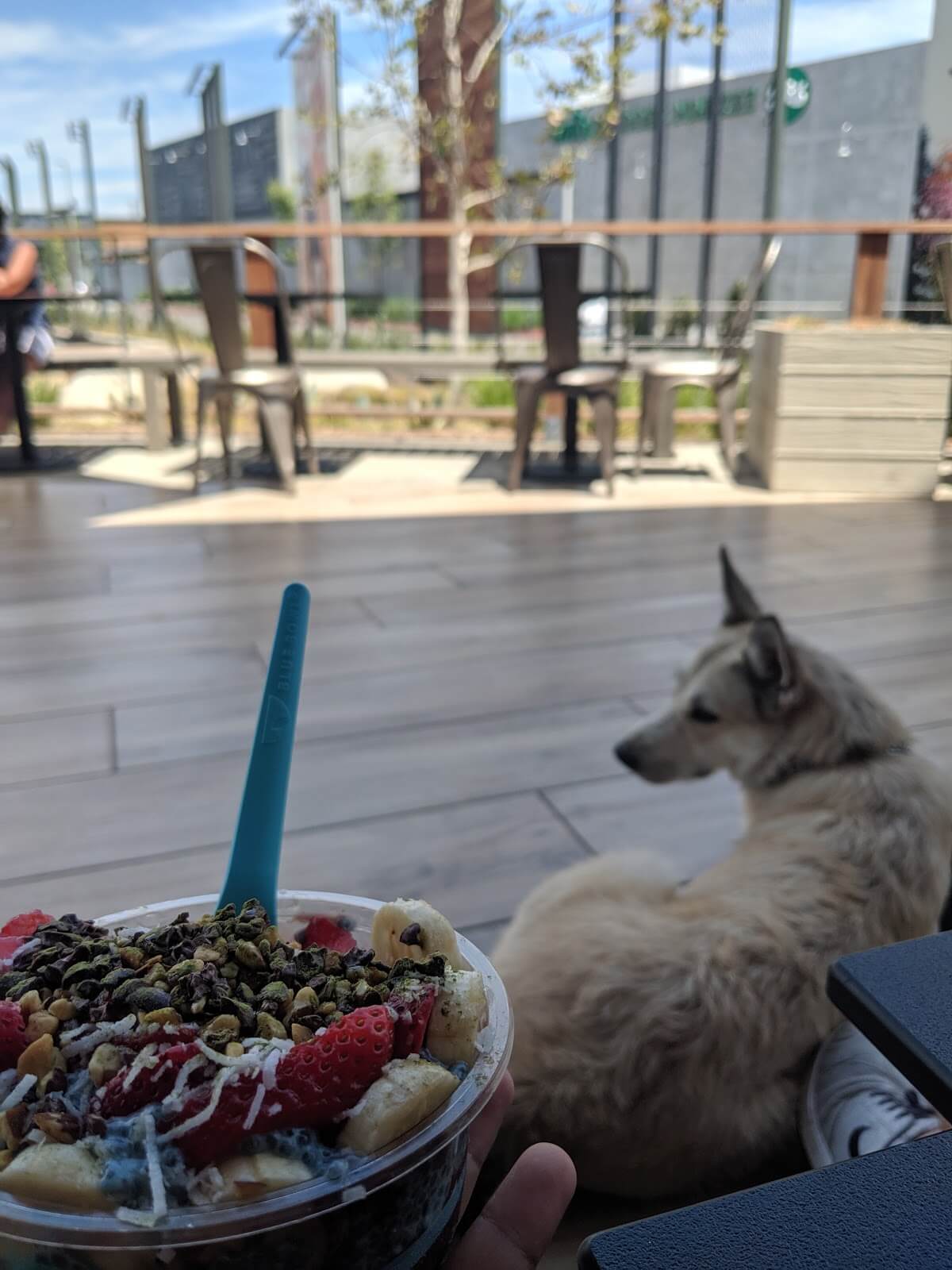 Blue Bowl Superfoods Long Beach If It's Vegan, It's On Vkind!