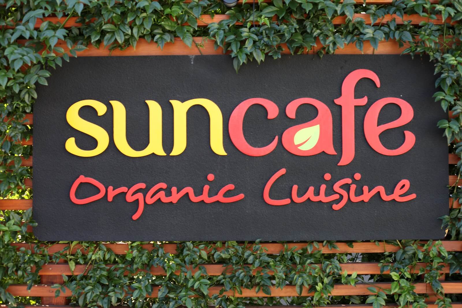 SunCafe Organic If It's Vegan, It's On Vkind!