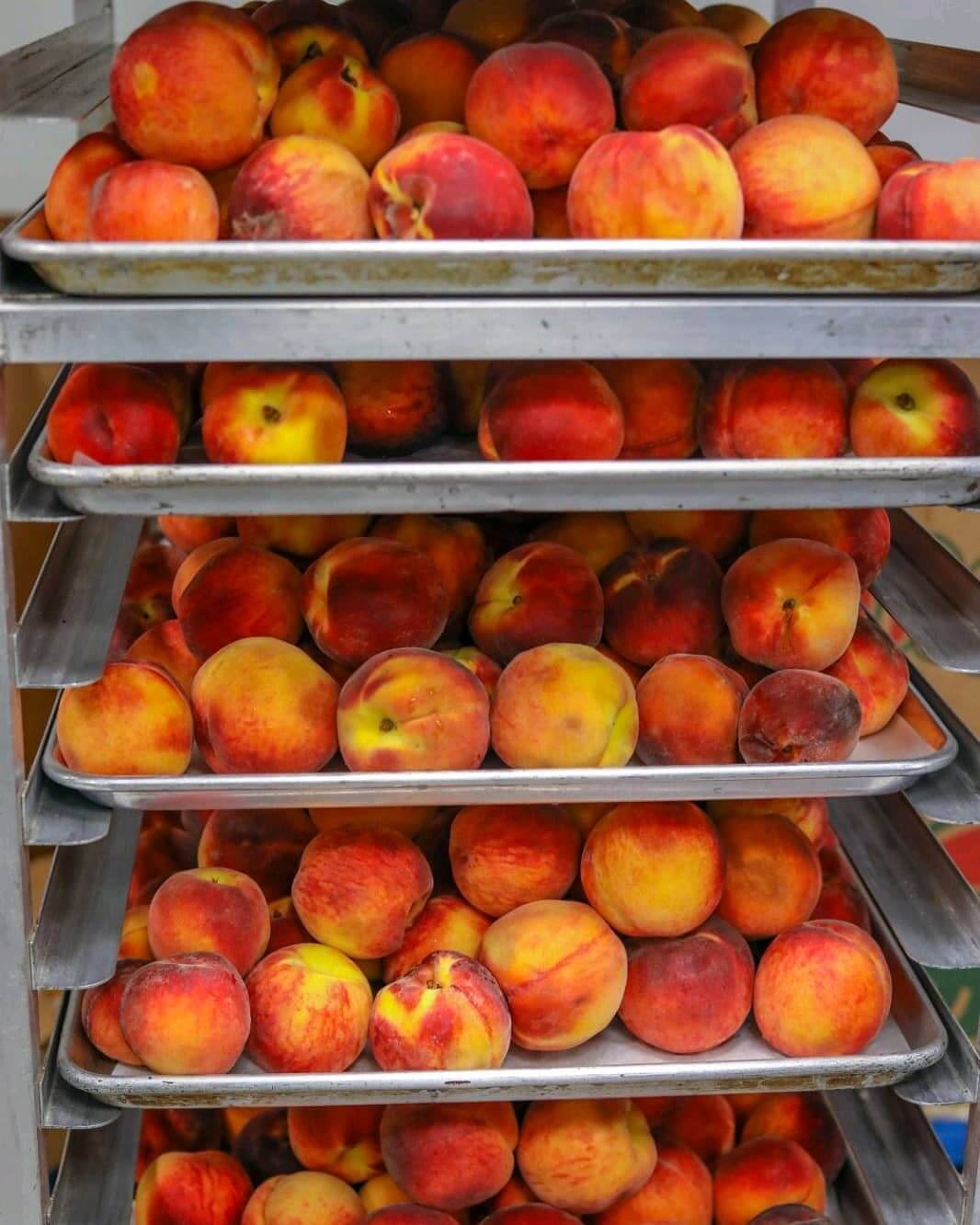 The Woodstock Fruit Festival If It's Vegan, It's On Vkind!