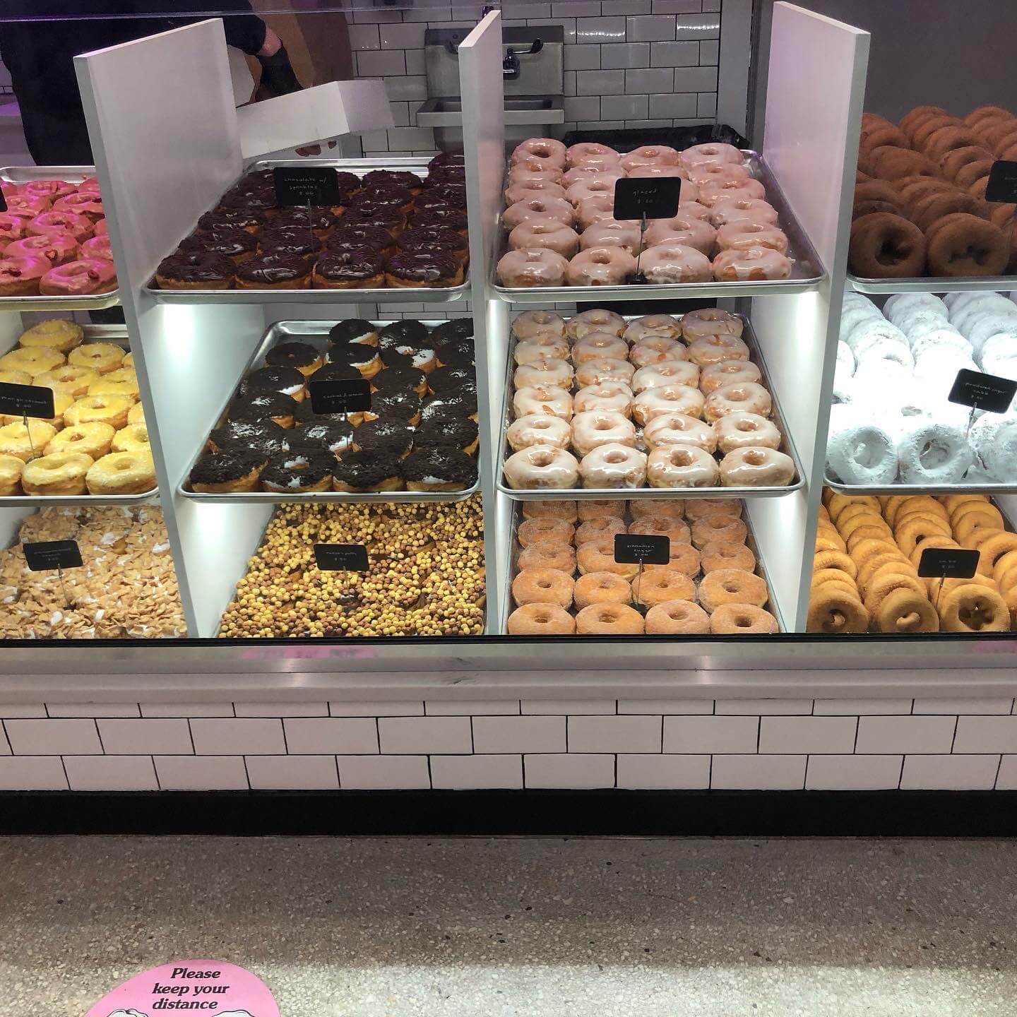 Donut Run Explore The PlantPowered World
