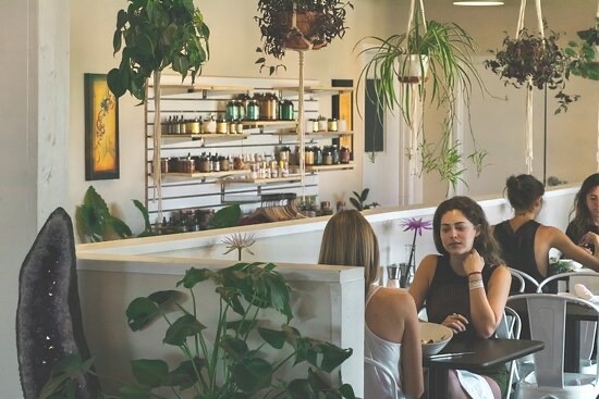 Giving Tree Cafe Express Kitchen - Explore The Plant-Powered World
