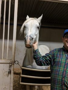 White horse in stall with man wearing green plaid shirt blue cap and glasses scratching it's neck at saffyre sanctuary