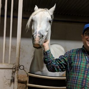 White horse in stall with man wearing green plaid shirt blue cap and glasses scratching it's neck at saffyre sanctuary