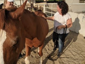 Brown horse with white snout and hooves standing in sandy paddock at saffyre sanctuary with several volunteers wearing hats white shirt and jeans
