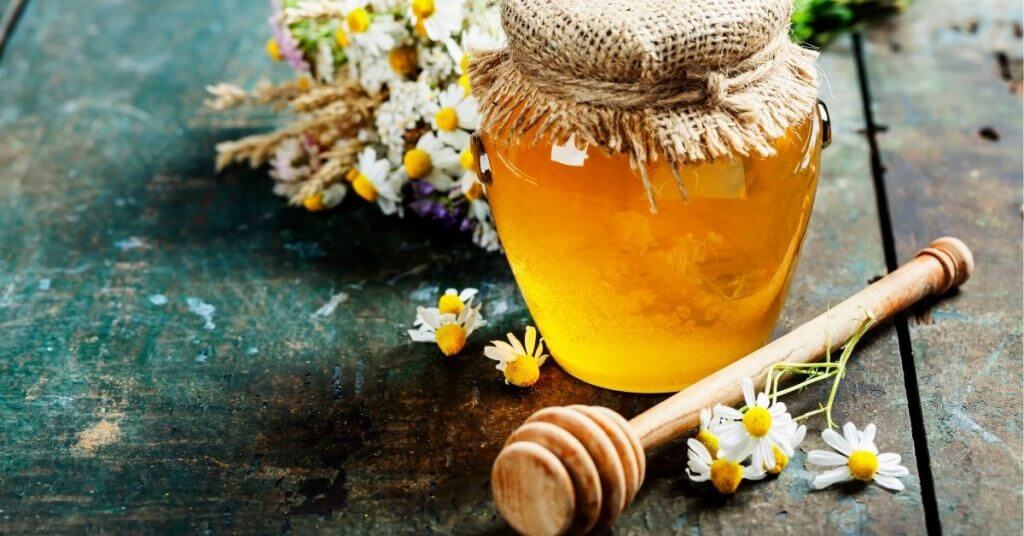 California Startup MeliBio Makes Real Honey Without Bees Vkind