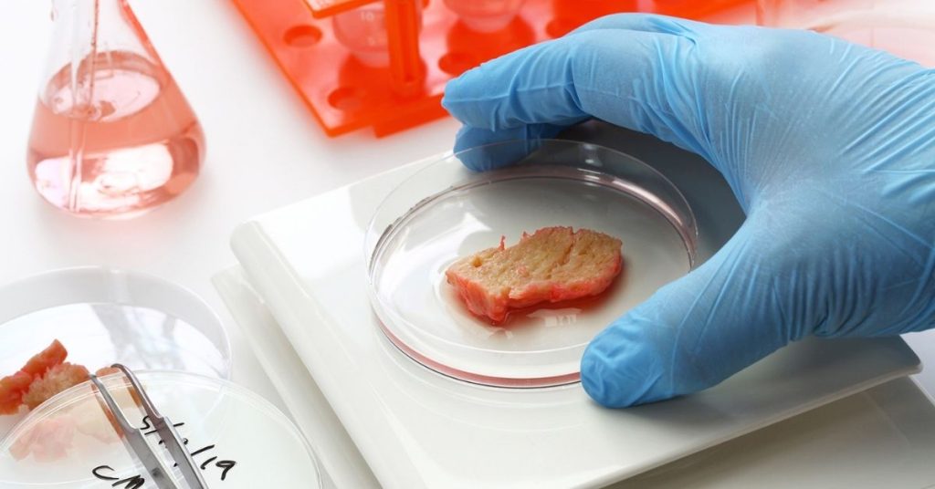 cell cultured meat in clear dish