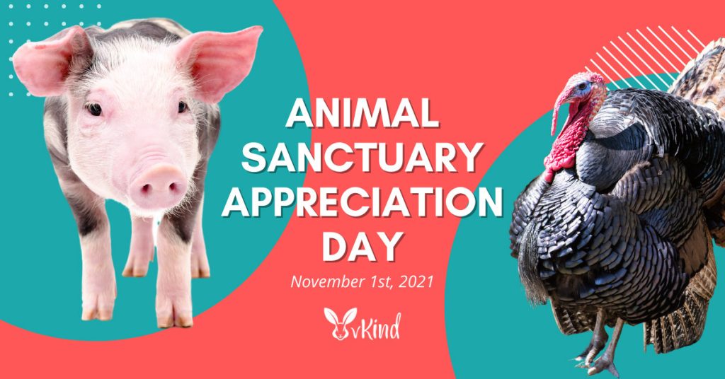 graphic for animal sanctuary appreciation day with image of pig and turkey
