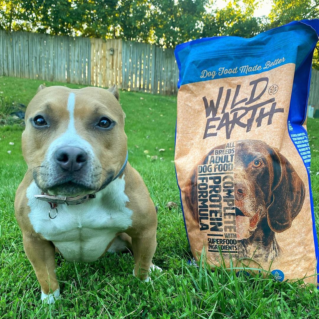 dog sits in grass next to bag of wild earth vegan adult dog food