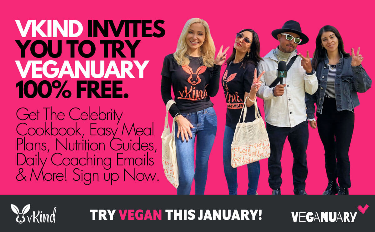 vKind endorses Veganuary 2022
