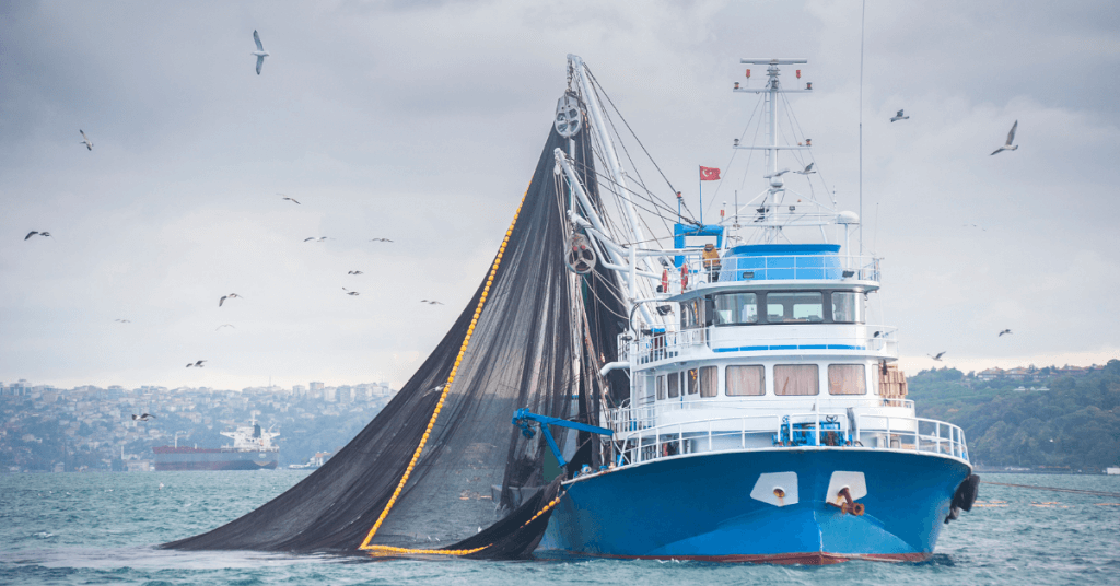 fishing boat pulling fishing net in water