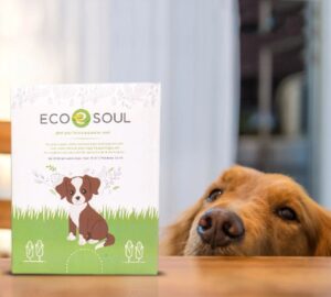 dog looks on at eco soul box of plant based compostable pet waste bags