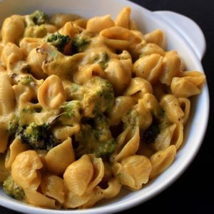 shells and broccol in creamy cheese sauce