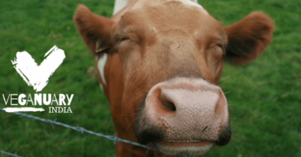 veganuary india