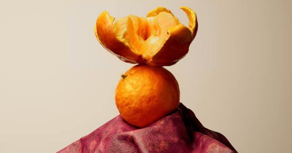 Polybion Vegan Leather