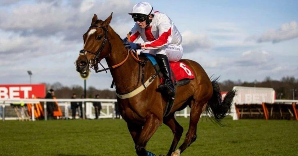 Shallwehaveonemore Dies at Cheltenham