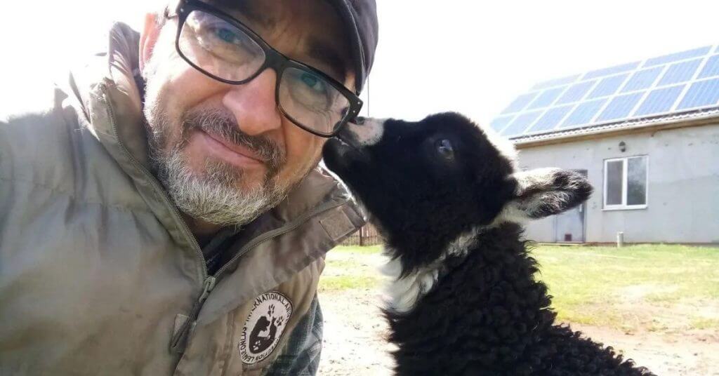 ukraine man with sheep