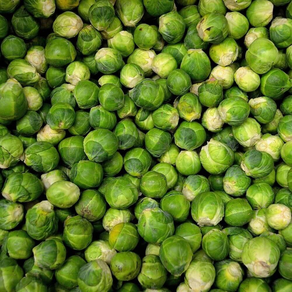 Roasted Brussel Sprouts