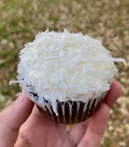 Chocolate cupcakes with white frosting and coconut shreds