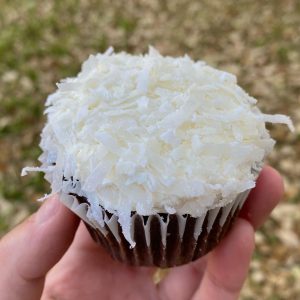 Chocolate cupcakes with white frosting and coconut shreds