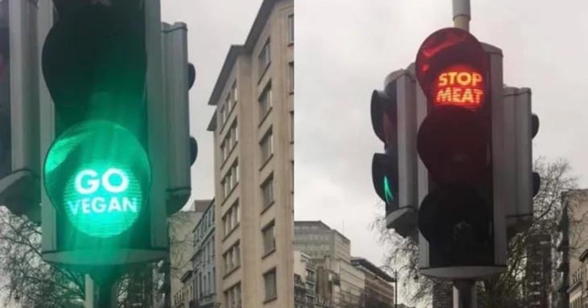 Traffic Lights in Belgium