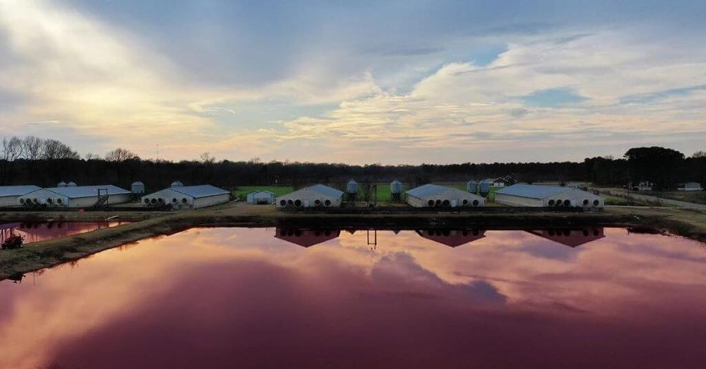 Kate Mara Documentary