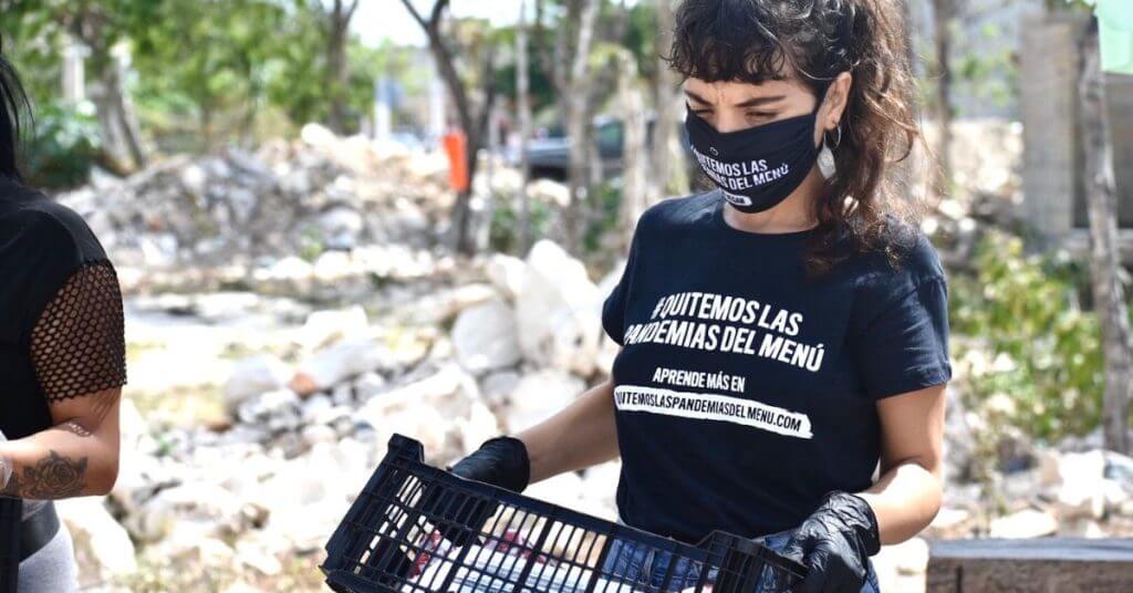 Million Dollar Vegan Humanitarian Initiatives