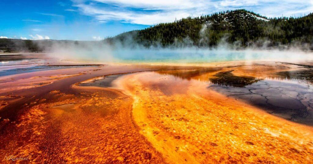 Nature's Fynd Vegan Fungi Protein