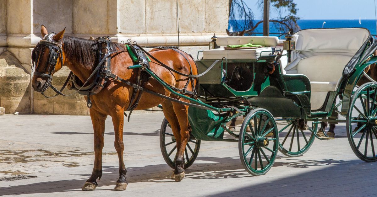 Horse-Drawn Carriage in Mallorca