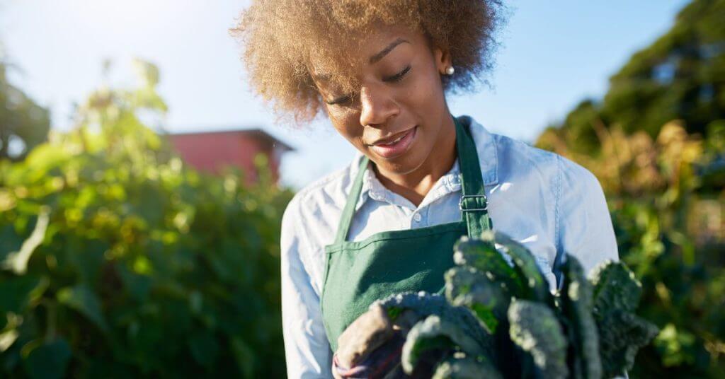 Clear Food Systems Called on at COP27