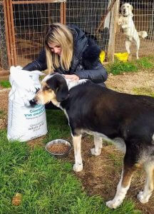 Greek Animal Rescue Dog