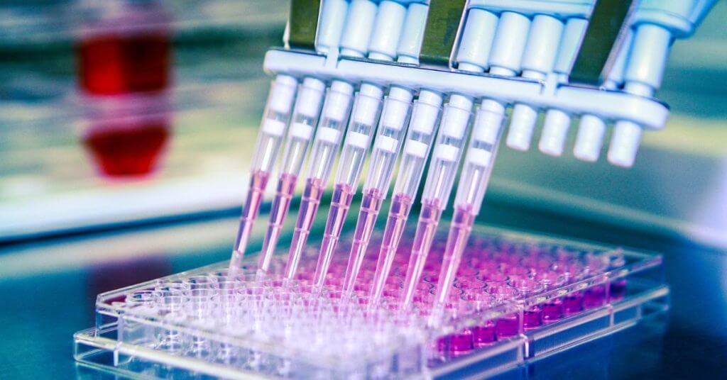 Lab grown meet vkind