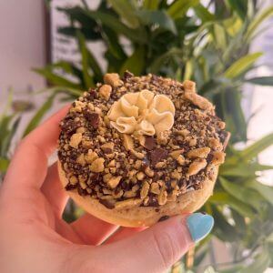 HaleLife Bakery Donut