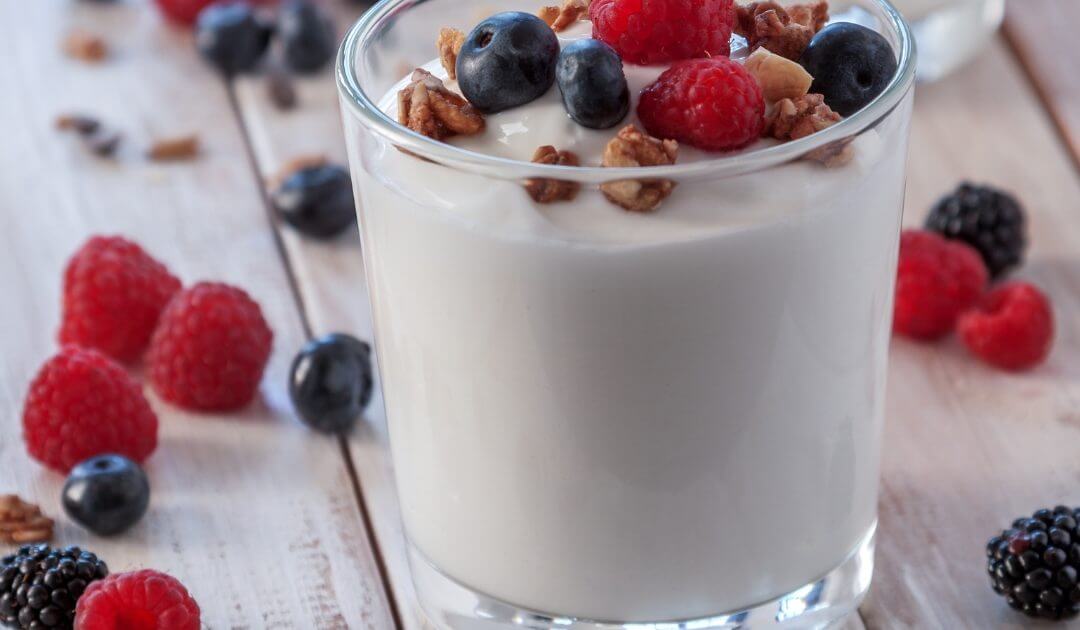 InstantPot Vegan Greek Yogurt Vkind