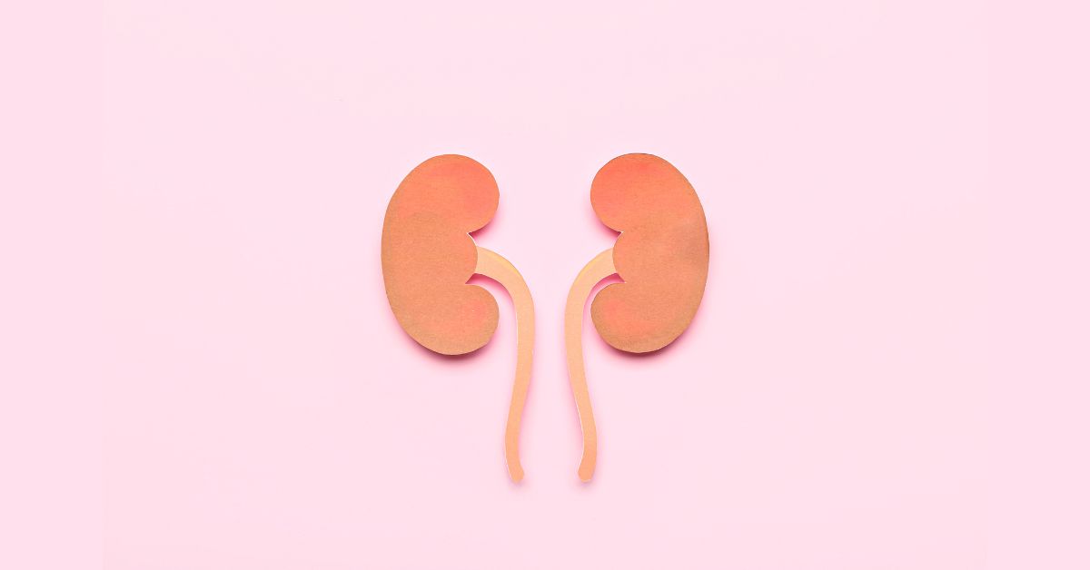 Being Kind To Your Kidneys