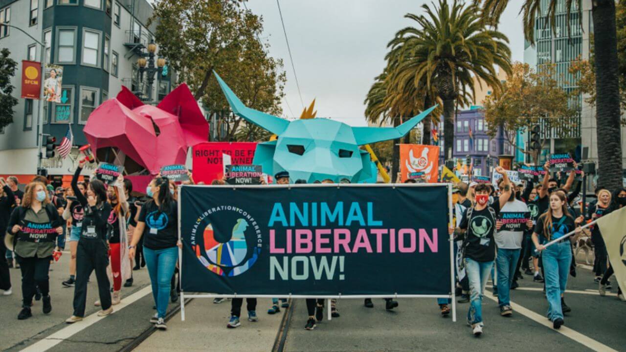 Animal Liberation Conference