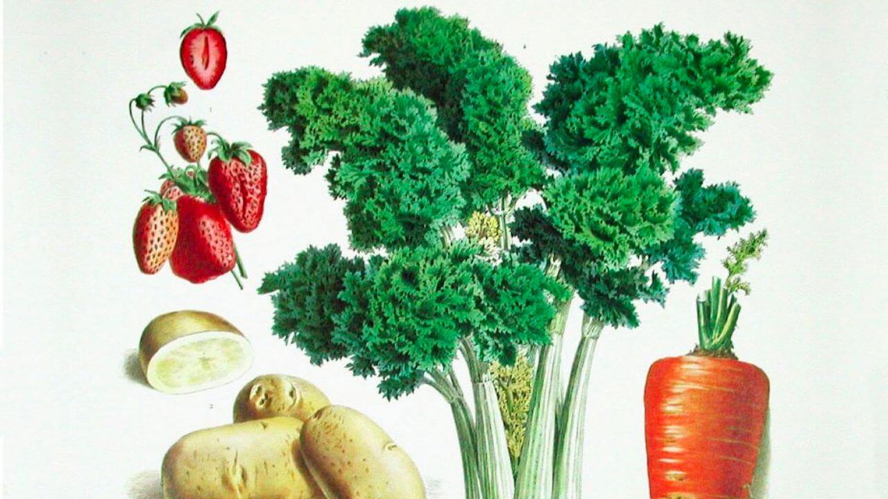 ALL VEGAN FEAST Twilight Dinner 20