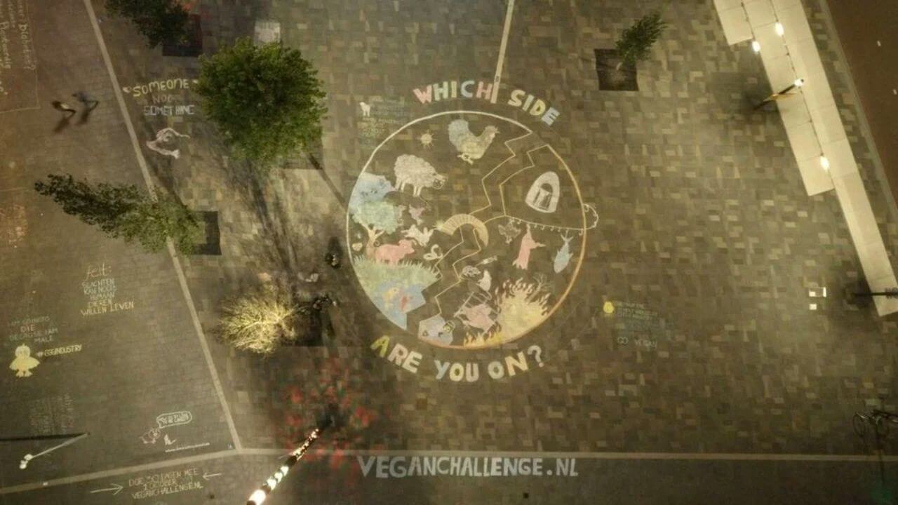 AMSTERDAM Worldwide Vegan Chalking Night!