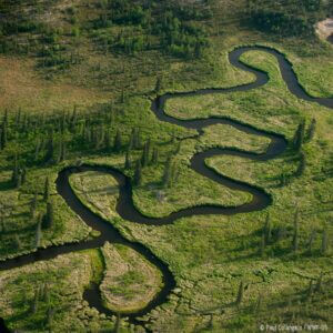 World Wildlife Fund Nature