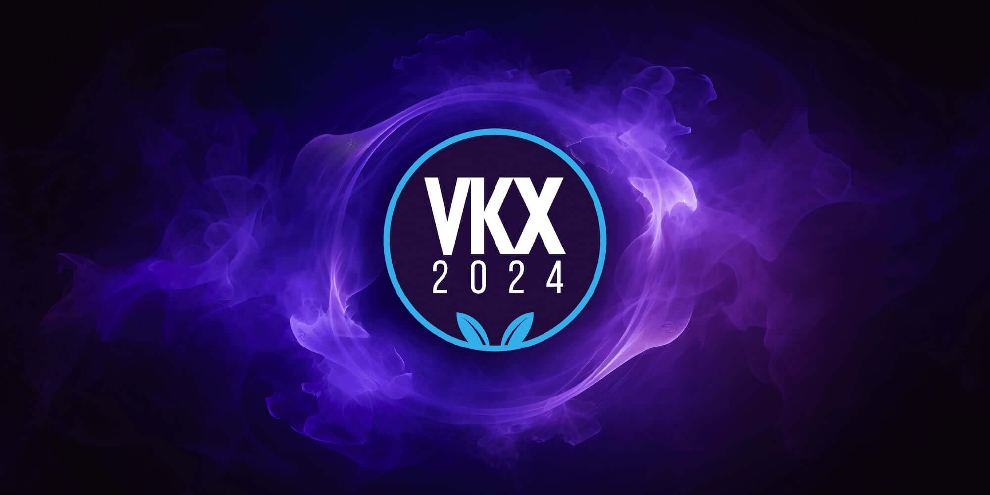 The Vkind Experience 2024
