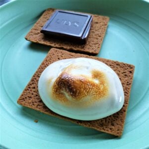 two graham crackers with chocolate and toasted marshmallow