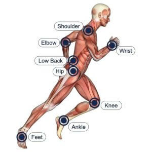 side view of human muscular anatomy running