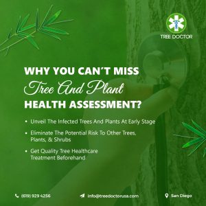 tree dr logo with text encouraging readers to take action