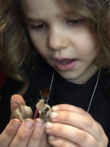 Young girl holding two snails
