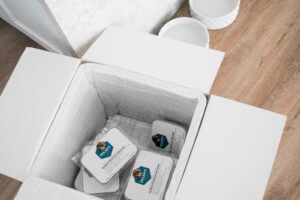 Various containers of Dylan's Dog Food in insulated box