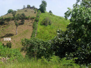 climate heal of hill regrowth green grass