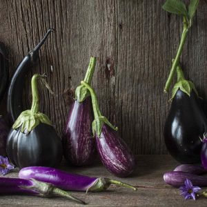 Variations of eggplants